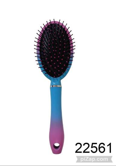 Imagen de CEPILLO DE PELO OVALADO BICOLOR 24.5X8CM 2.26